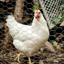 Птицеводная ферма ограждение шестиугольная куриная проволочная сетка